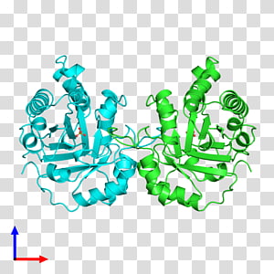 Organism , design transparent background PNG clipart thumbnail