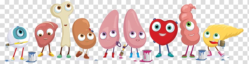 Organ donation Organ transplantation Animated film, Organ Donation transparent background PNG clipart