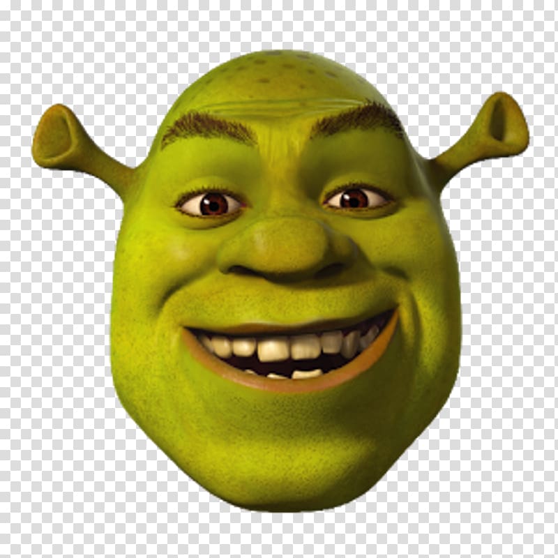 Shrek The Musical Princess Fiona Shrek 2 Shrek Film Series, shrek transparent background PNG clipart