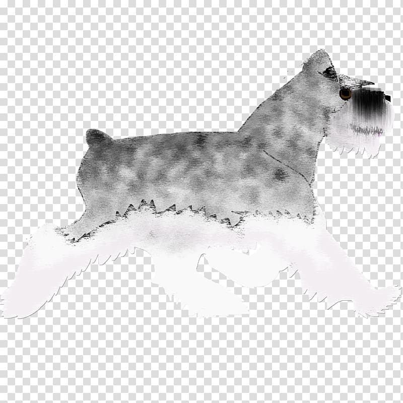 Miniature Schnauzer Lakeland Terrier Cairn Terrier Glen Cesky Terrier, Salt pepper transparent background PNG clipart