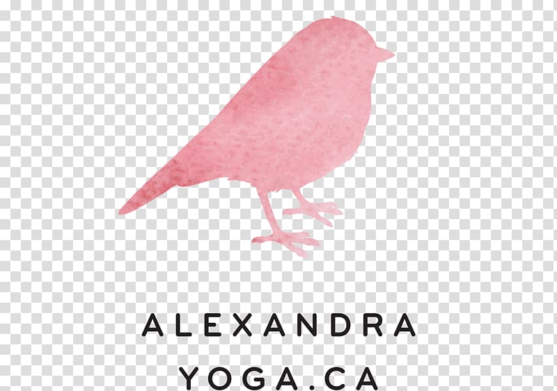 Alexandra Yoga Asana Vinyāsa Añjali Mudrā, Yoga transparent background PNG clipart