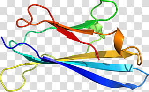 Line Point , line transparent background PNG clipart thumbnail