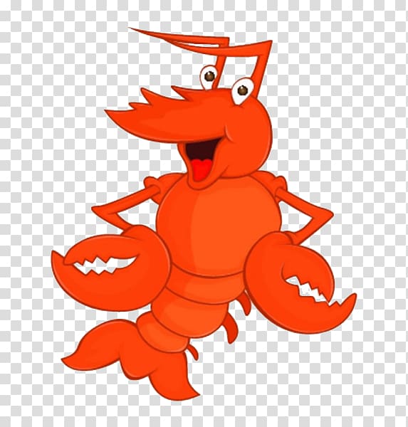 Lobster Drawing , Orange lobster tail transparent background PNG clipart