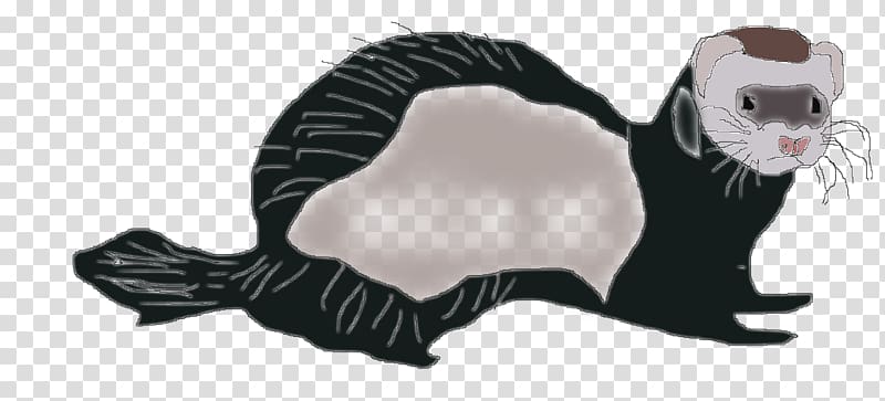 Whiskers Cat Ferret Animal, Cat transparent background PNG clipart