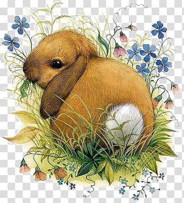 cartoon rabbit transparent background PNG clipart