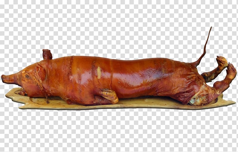 Lechon Suckling pig Kielbasa Breastfeeding, pig transparent background PNG clipart