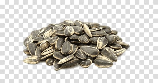 bunch of sunflower seeds, Roasted Sunflower Seeds transparent background PNG clipart