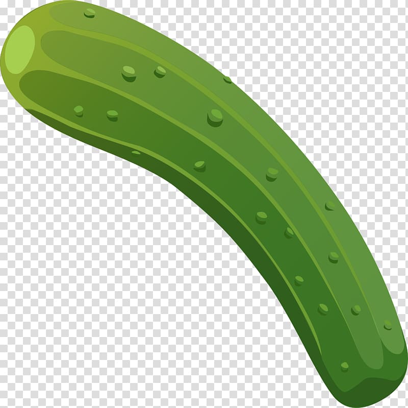 Cucumber Zucchini Vegetable , cucumber transparent background PNG clipart