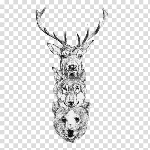 deer, wolf, and bear taxidermy illustration, Red deer Bear Gray wolf Elk, Wolf Bear Deer Head creative assembly transparent background PNG clipart