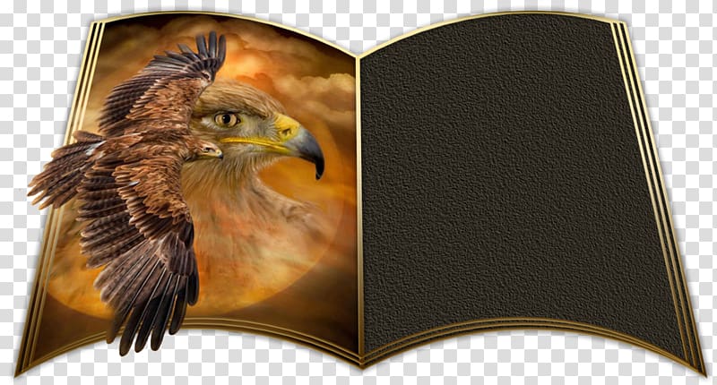 Bird of prey Beak Eagle Animal, golden card transparent background PNG clipart