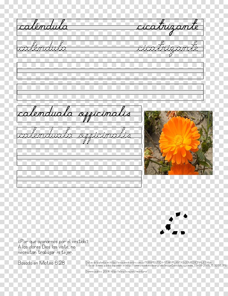 Letter Text Cursive Bas de casse Plant, plant transparent background PNG clipart