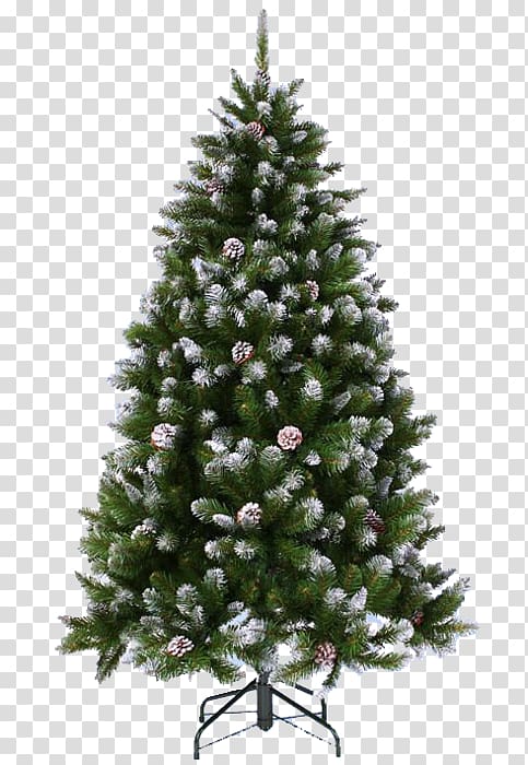 Christmas tree Spruce Conifer cone Pine, new year tree transparent background PNG clipart