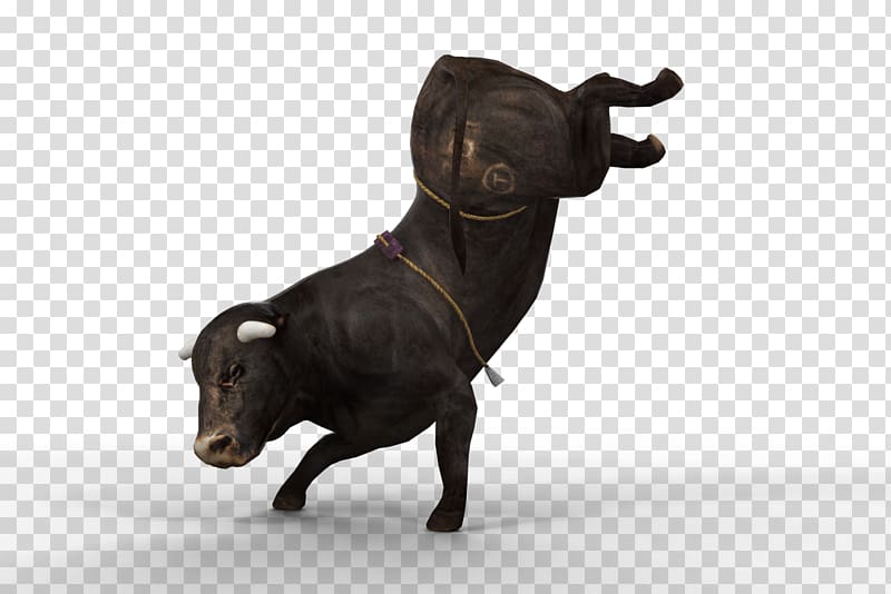 Cattle Professional Bull Riders Ox Bull riding, glory transparent background PNG clipart
