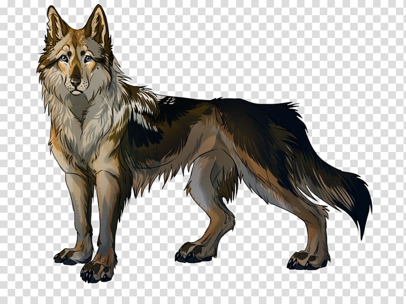 Tervuren Illustration Artist Graphic design, shepard wolf mix transparent background PNG clipart