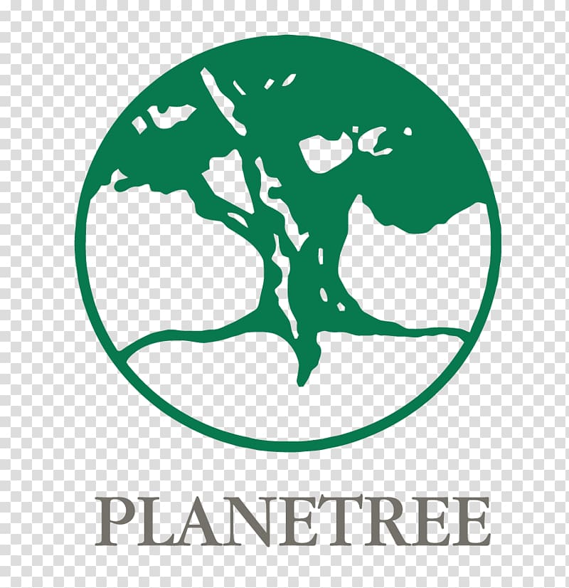 Planetree Inc Health Care Organization Hospital Patient, overlooking the tree transparent background PNG clipart