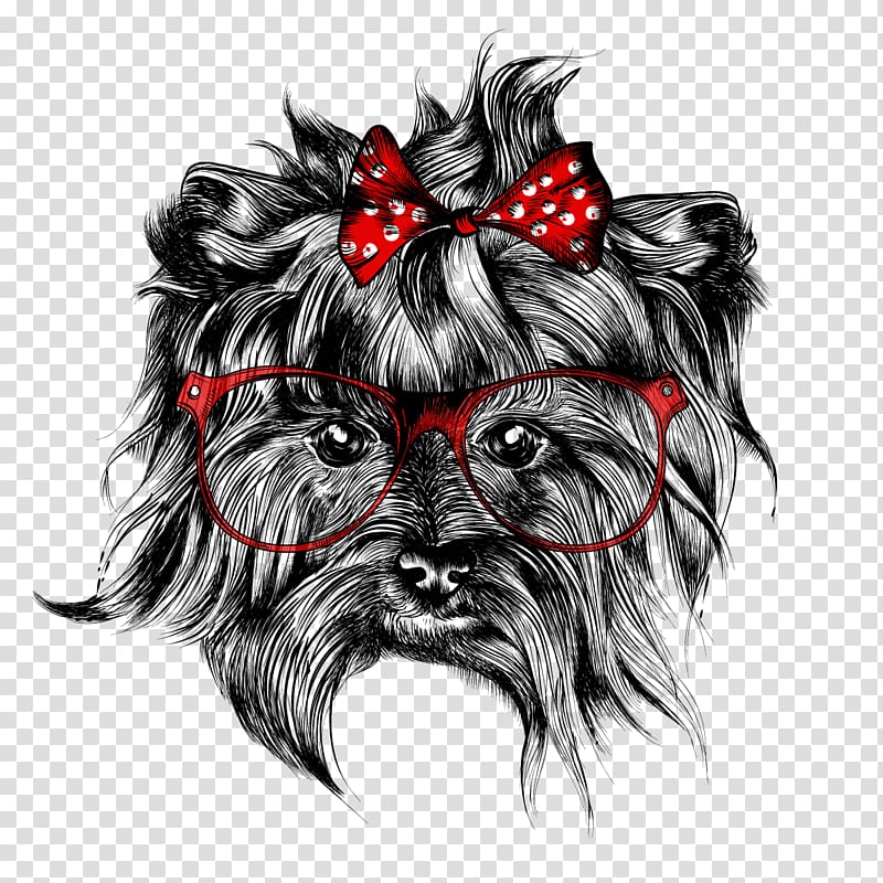 Dog, Shih Tzu transparent background PNG clipart