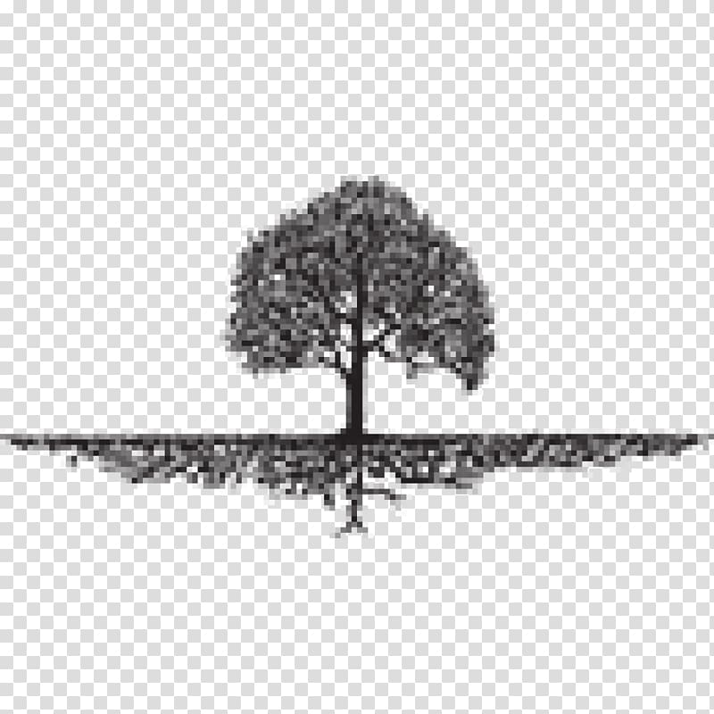 Roots: The Saga of an American Family Tree Organization Landscaping, tree transparent background PNG clipart