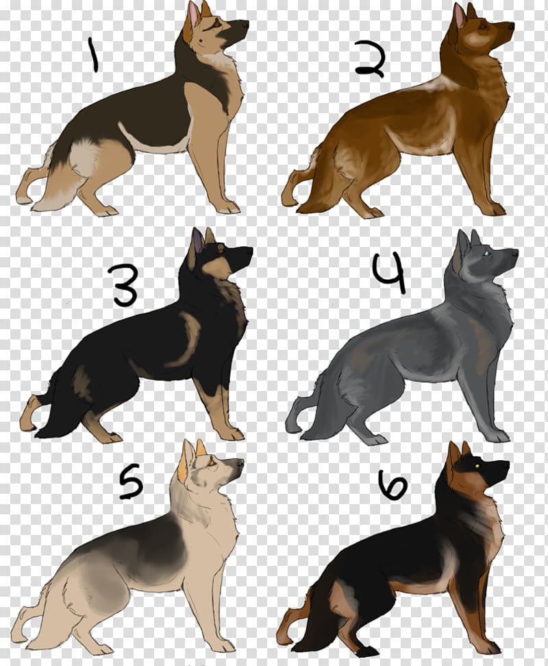 German Shepherd Dog breed Breed group (dog) 1012 WX, All About German Shepherds transparent background PNG clipart