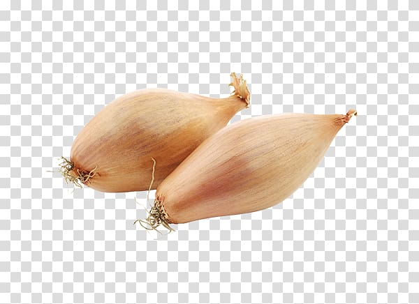 Yellow onion Shallot Vegetable Food Scallion, vegetable transparent background PNG clipart