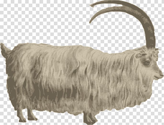 Mountain goat Barbary sheep , Goat transparent background PNG clipart