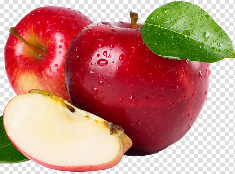 Frugivore Auglis Chemistry Eating Chemical compound, others transparent background PNG clipart
