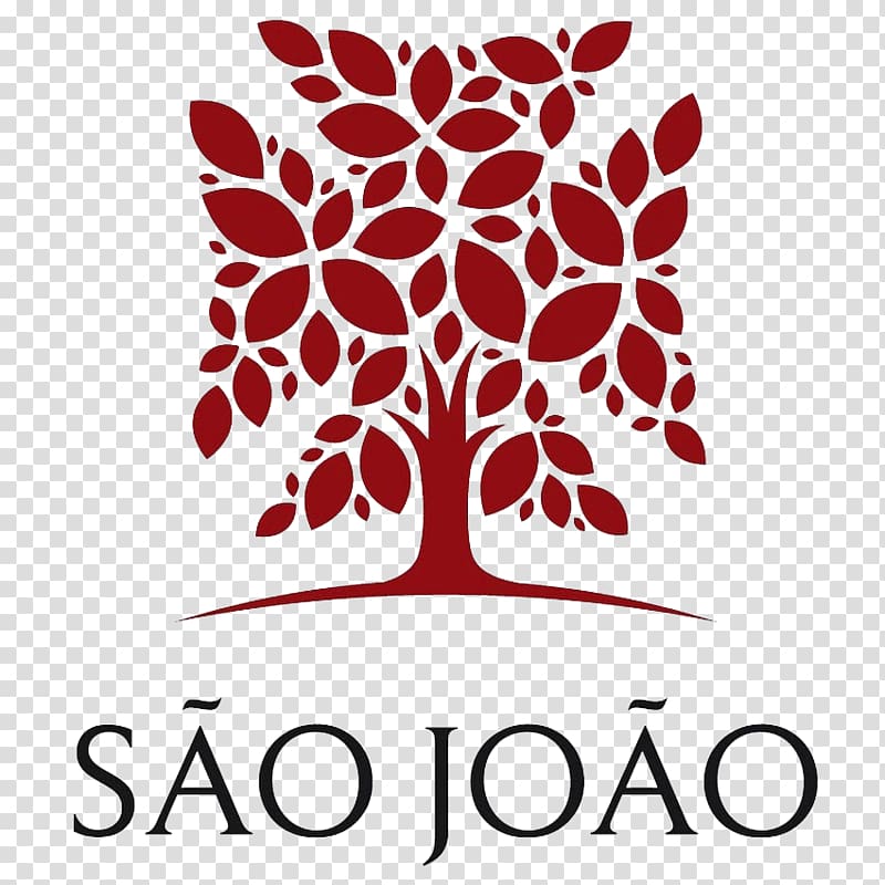 Saint John Hospital Physician Hospital de São João Medicine, sao joao transparent background PNG clipart