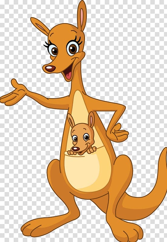 Kangaroo , kangaroo transparent background PNG clipart