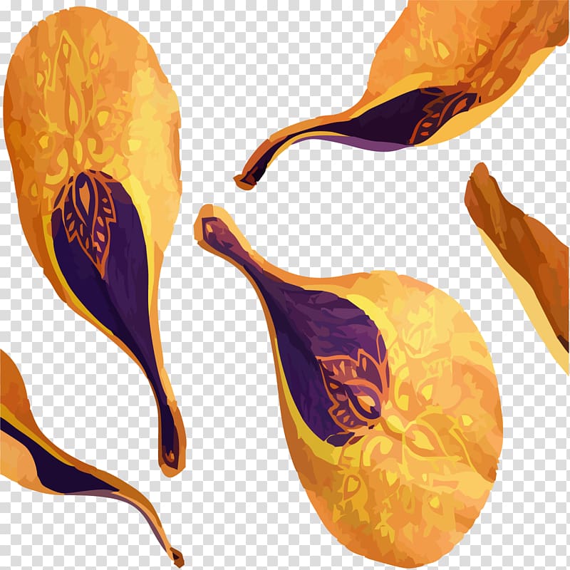 Orange Petal, Orange vintage decorative petals transparent background PNG clipart Orange Petal, Orange vintage decorative petals transparent background PNG clipart