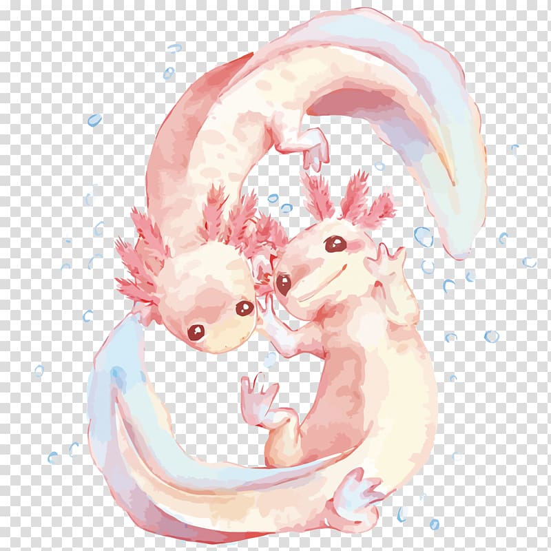 Axolotl Transparent Background Png Cliparts Free Download Hiclipart