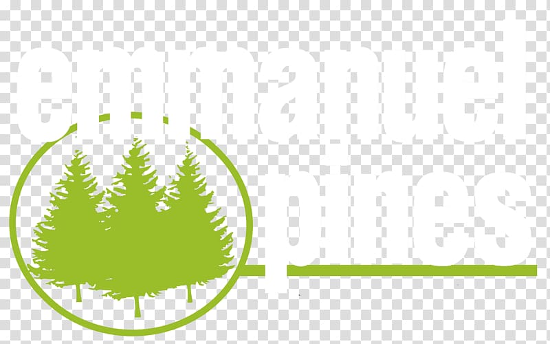 T-shirt Shiloh Christian Fellowship Forest Trail 332 Emmanuel Pines Camp & Conference Center Logo, pine needle transparent background PNG clipart
