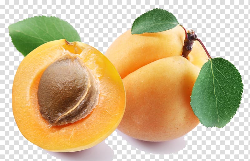 Apricot oil Strudel Apricot kernel Fruit, Apricot transparent background PNG clipart