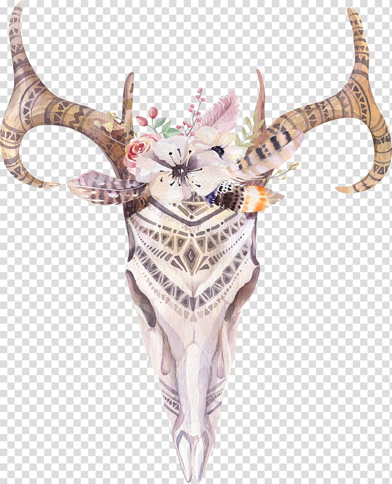 white and brown animal skull illustration, Cattle Boho-chic Skull Watercolor painting , Indian tribes Sheepshead flowers hand drawing transparent background PNG clipart