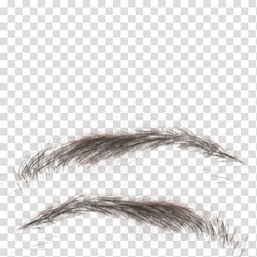 black eyebrows, Eyebrow Eyelash Texture mapping, eyelashes transparent background PNG clipart