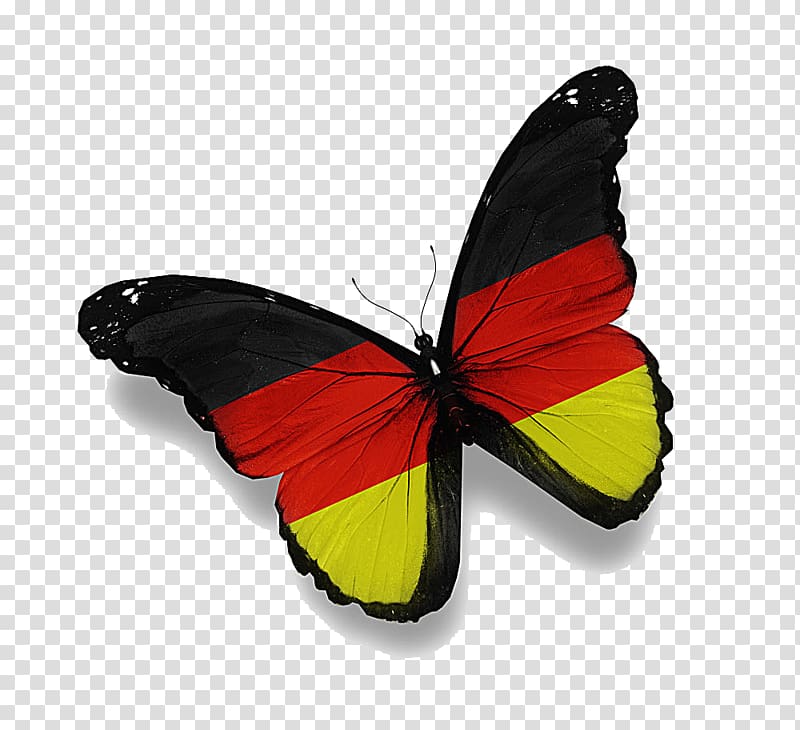 Germany Rio de Janeiro Flag of Saudi Arabia, Flag Butterfly transparent background PNG clipart