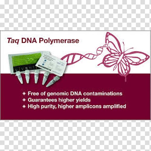 Taq polymerase DNA polymerase Nucleic acid, taq polymerase transparent background PNG clipart