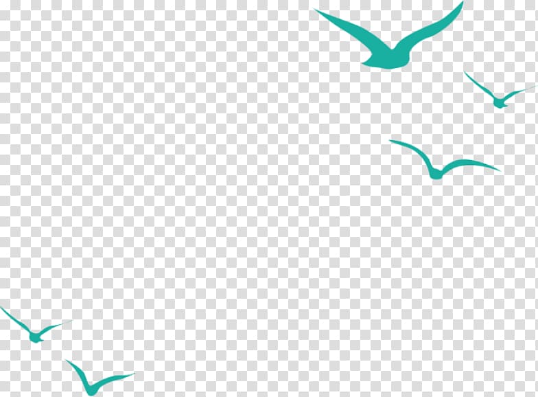 five green birds illustration, Hummingbird Flight Common gull Beak, Flying seagull transparent background PNG clipart