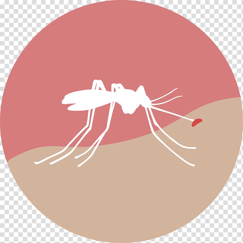 Zika virus Health Mosquito Zika fever Medicine, Blood In Blood Out transparent background PNG clipart