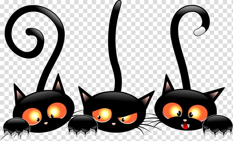 Black cat Kitten Halloween , cats transparent background PNG clipart