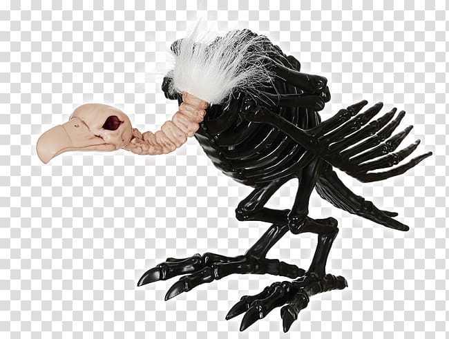 Turkey vulture Skeleton Bone Skull, Black Vulture transparent background PNG clipart