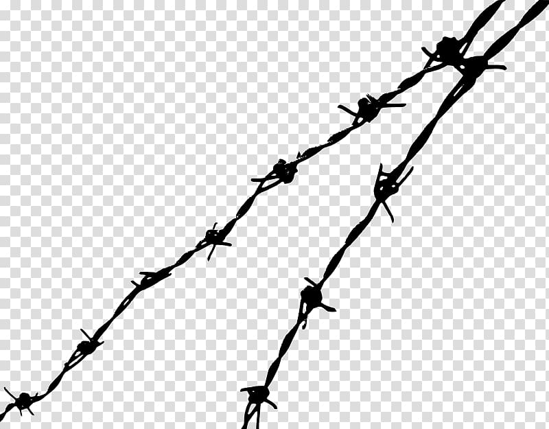 Barbed wire Barbed tape , barbed wire material transparent background PNG clipart