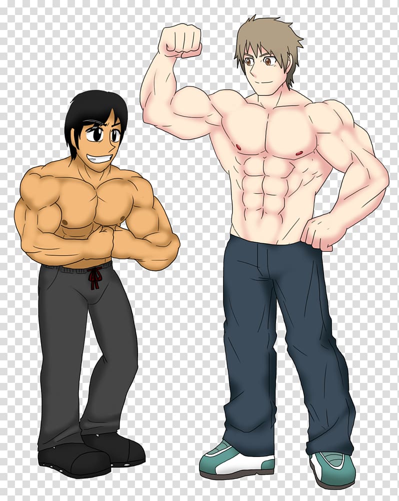 Artist Muscle Drawing, muscle growth transparent background PNG clipart