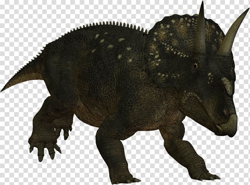Triceratops Nedoceratops Ceratopsia Dinosaur, dinosaur transparent background PNG clipart
