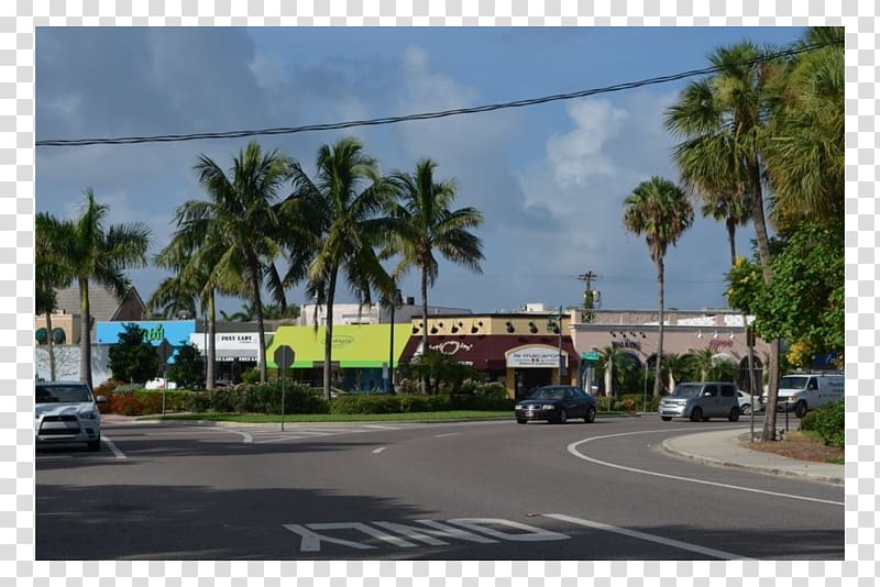 Arecaceae Advertising Transport Property Suburb, others transparent background PNG clipart