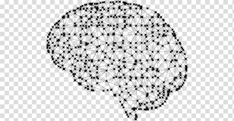 Artificial neural network Human brain Machine learning Neuron, neural network brain transparent background PNG clipart