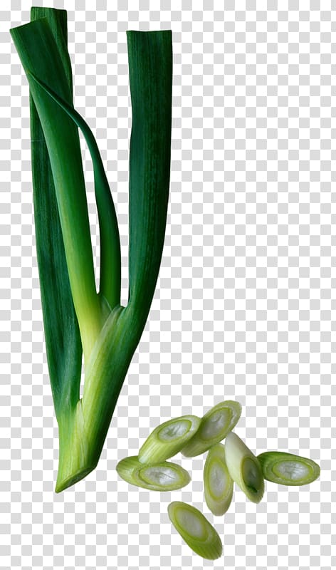 Chinese cuisine Asian cuisine Chives Onion Scallion, Green onions transparent background PNG clipart