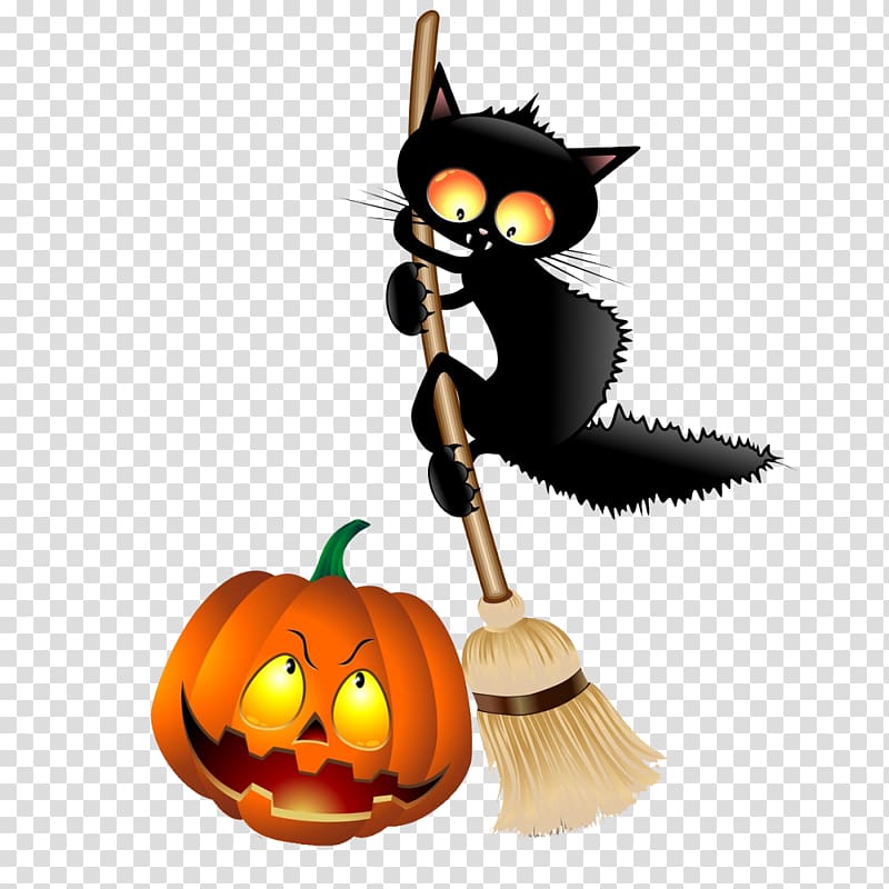 Black cat Kitten , happy halloween! transparent background PNG clipart