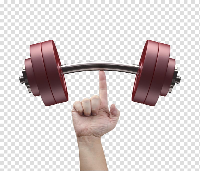 Man and woman holding dumbbells, Fitness centre Physical fitness