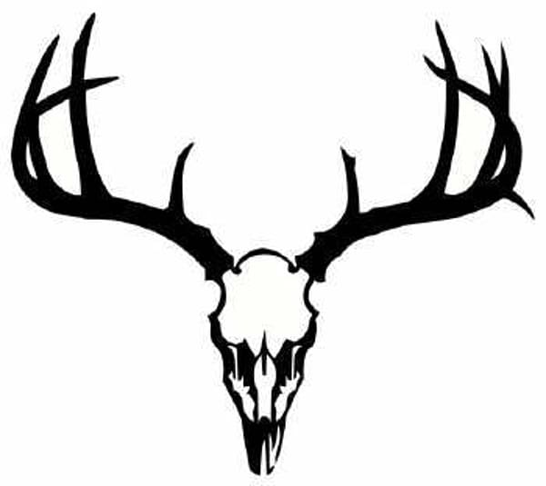 White-tailed deer Tattoo Skull , Free Deer transparent background PNG clipart