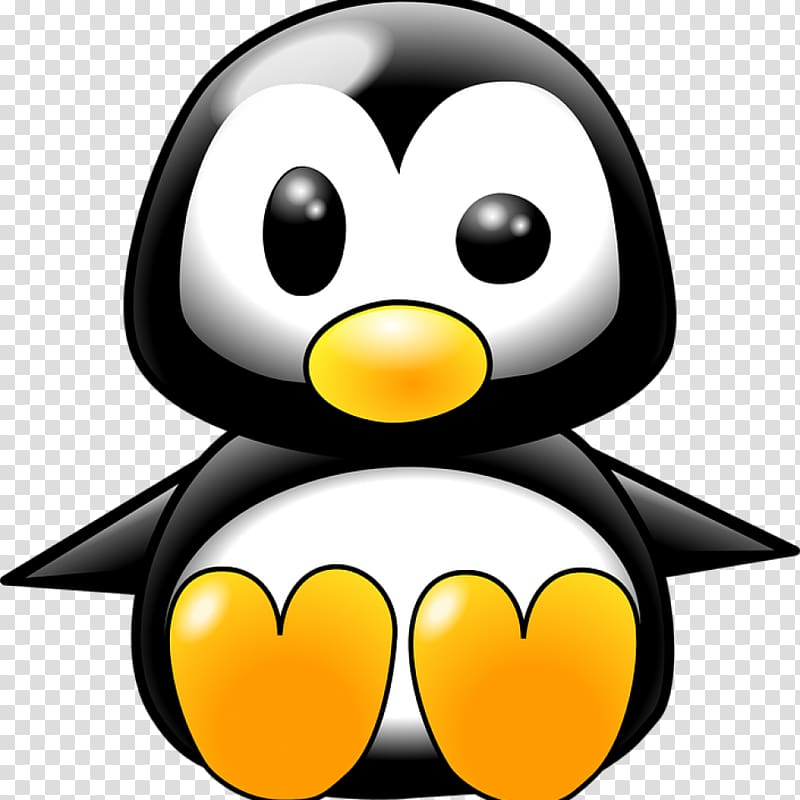 Penguin graphics Drawing, pinguin transparent background PNG clipart