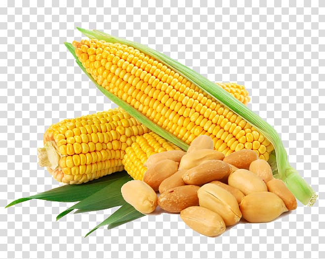 Waxy corn Flint corn Corn flakes Sweet corn Vegetable, Corn and peanuts transparent background PNG clipart